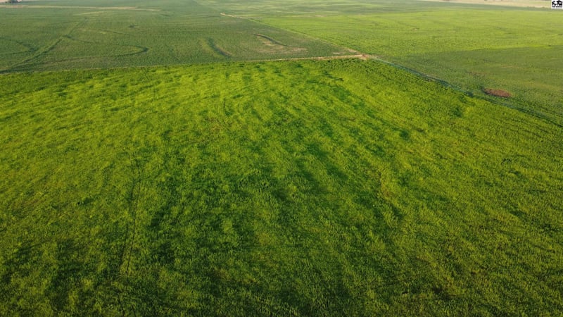 Boundary Rd, Pretty Prairie, KS 67570