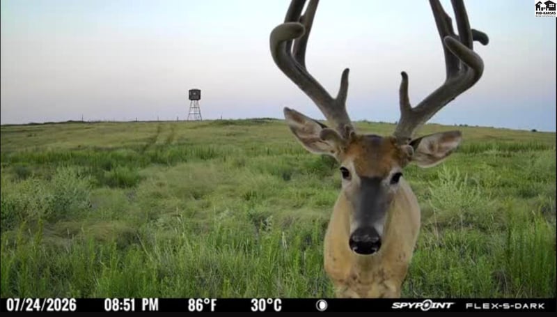 00000 M Rd, Hanston, KS 67849