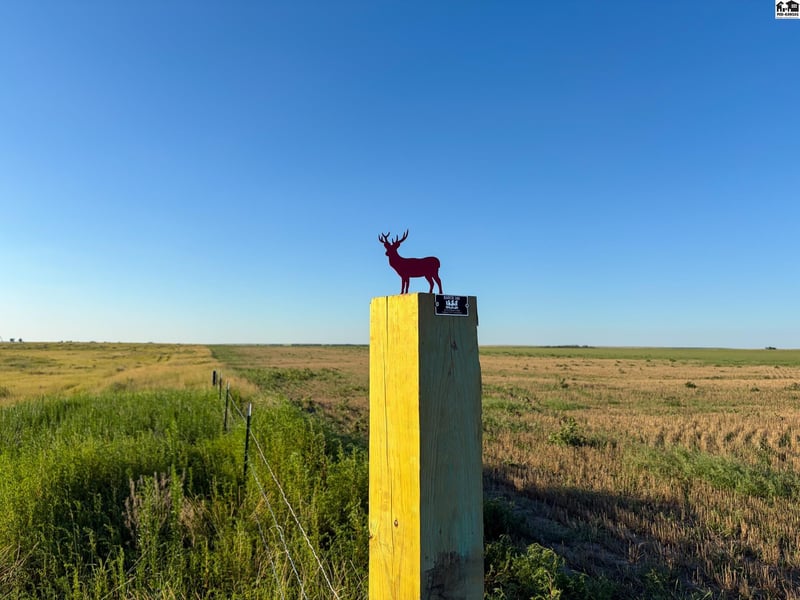 00000 Co Rd, Ness City, KS 67860