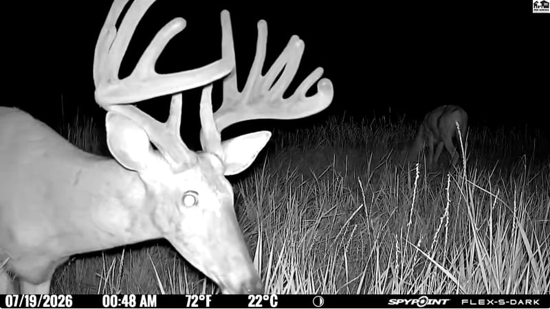 00000 E Co Rd, Ness City, KS 67860