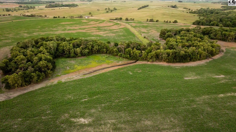 000 E Deer Dr, Tescott, KS 67423