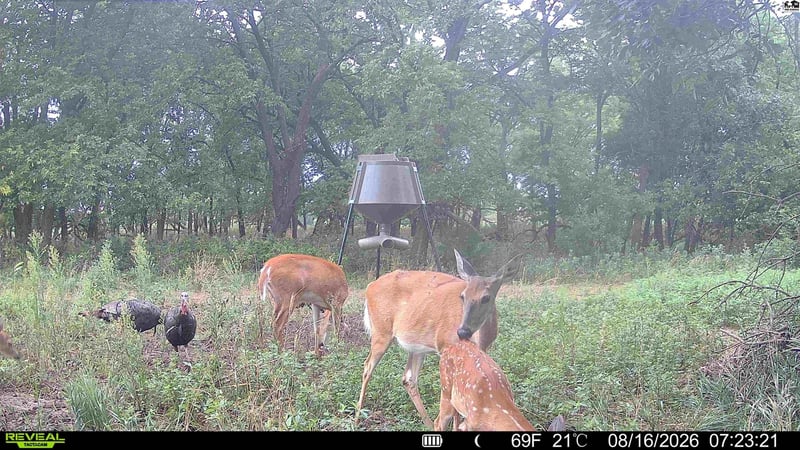 000 E Deer Dr, Tescott, KS 67423