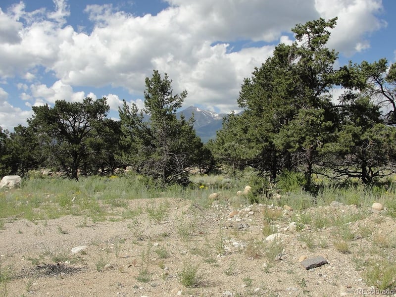 Garfield And Harrison, Buena Vista, CO 81211