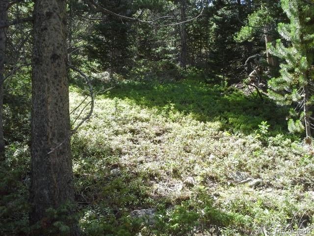 Hillside Rd Lot 429, Idaho Springs, CO 80436
