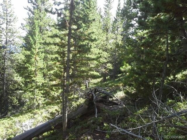 Hillside Rd Lot 429, Idaho Springs, CO 80436