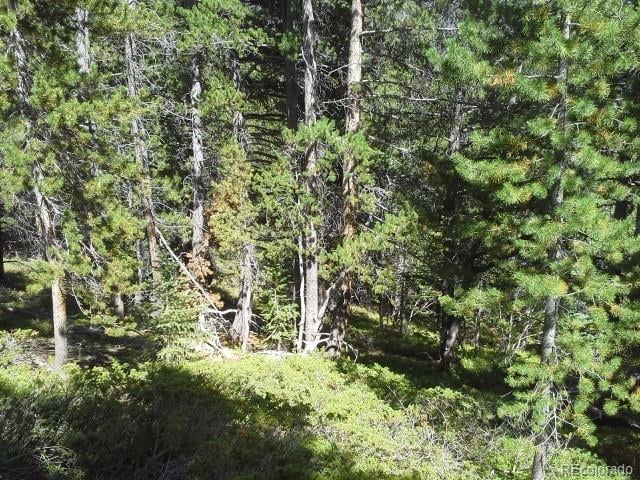 Hillside Rd Lot 429, Idaho Springs, CO 80436