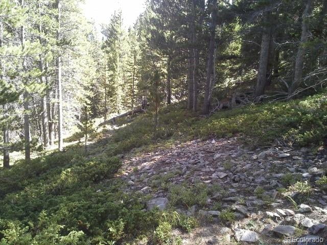 Hillside Rd Lot 429, Idaho Springs, CO 80436