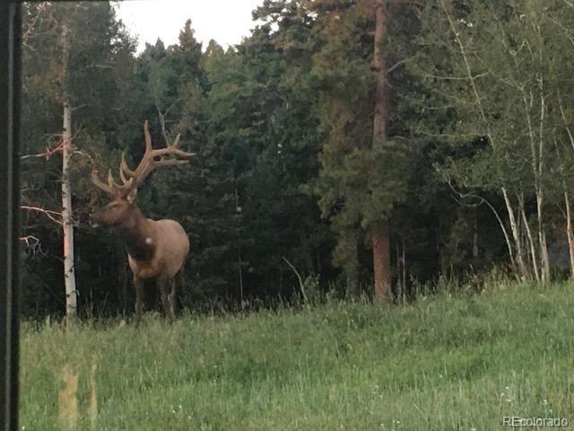 13854 Trail Cir, Littleton, CO 80127