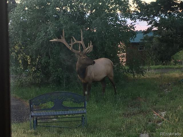 13854 Trail Cir, Littleton, CO 80127