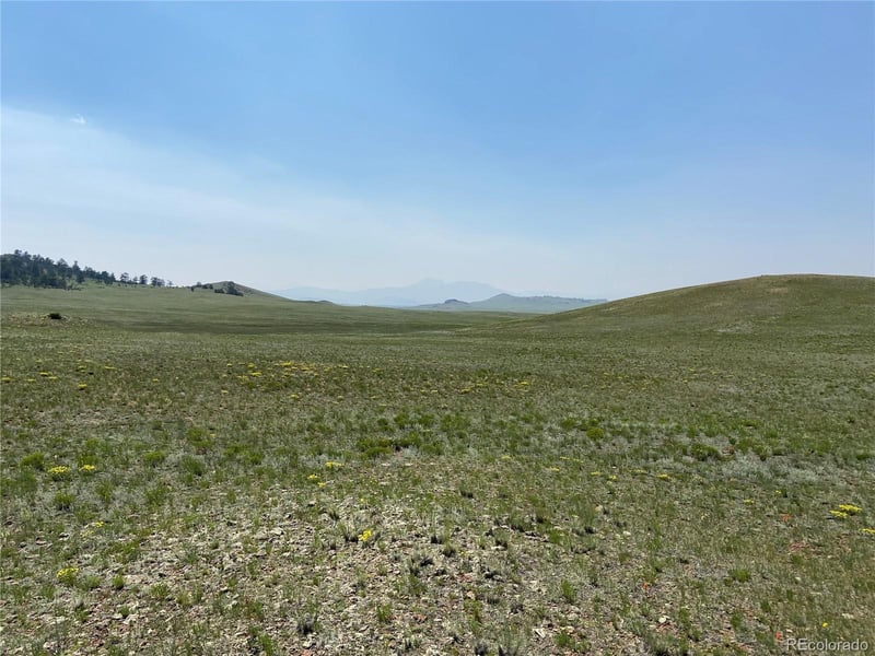1166 Chicha Rd, Hartsel, CO 80449
