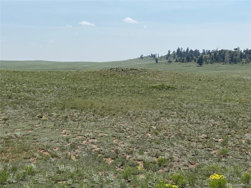 1166 Chicha Rd, Hartsel, CO 80449