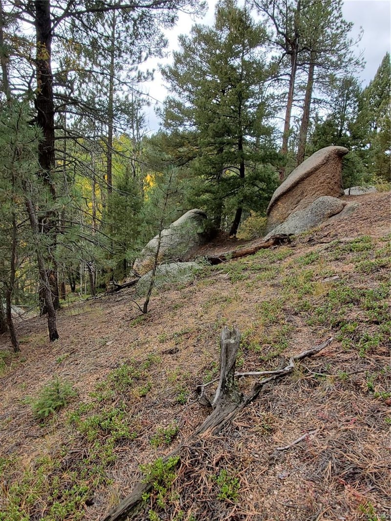 000 Rampart Range, Sedalia, CO 80135