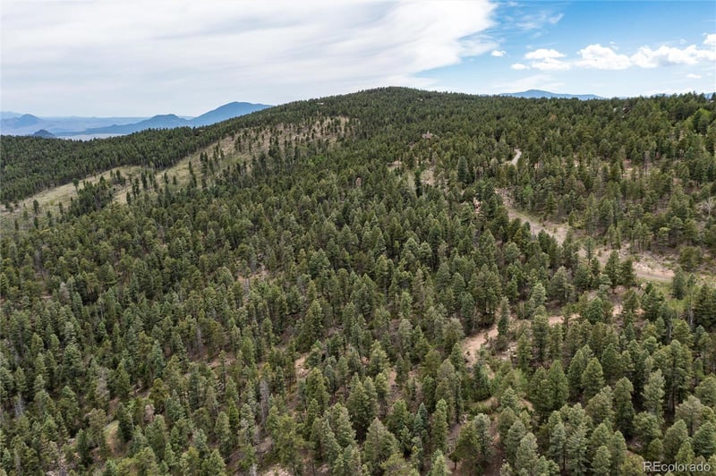 12888 Piano Meadows Dr Lot 8, Conifer, CO 80433
