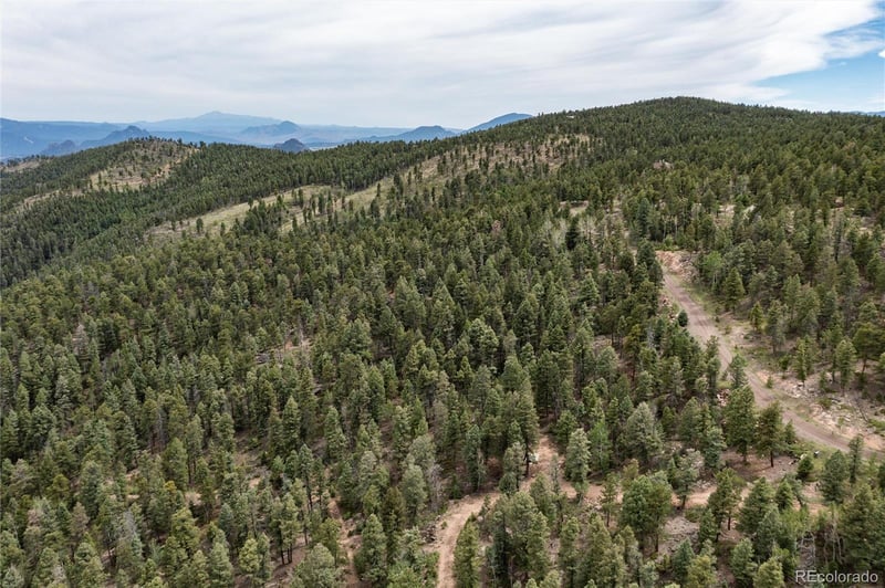 12888 Piano Meadows Dr Lot 8, Conifer, CO 80433