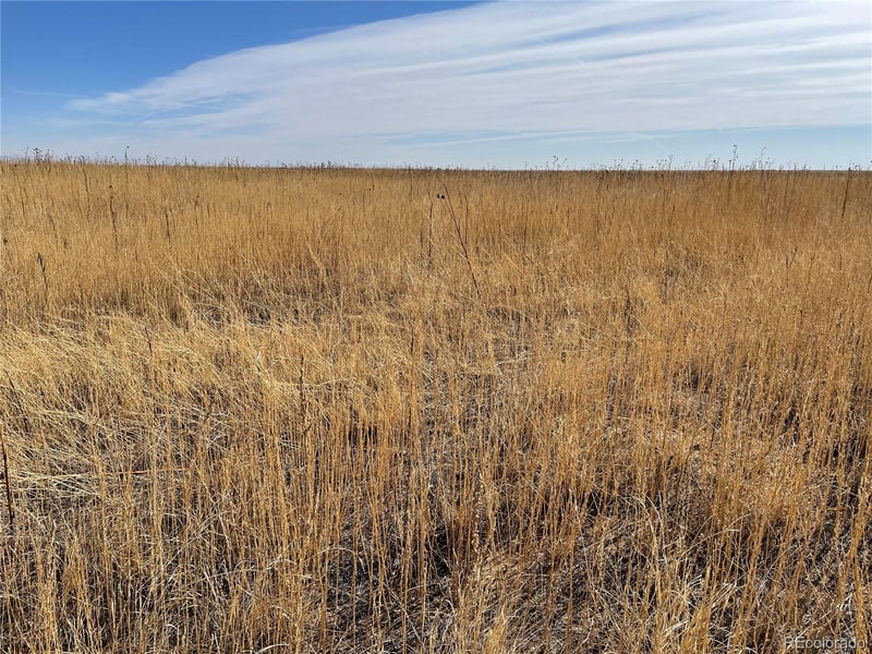 00001 County Road 26, Ramah, CO 80832