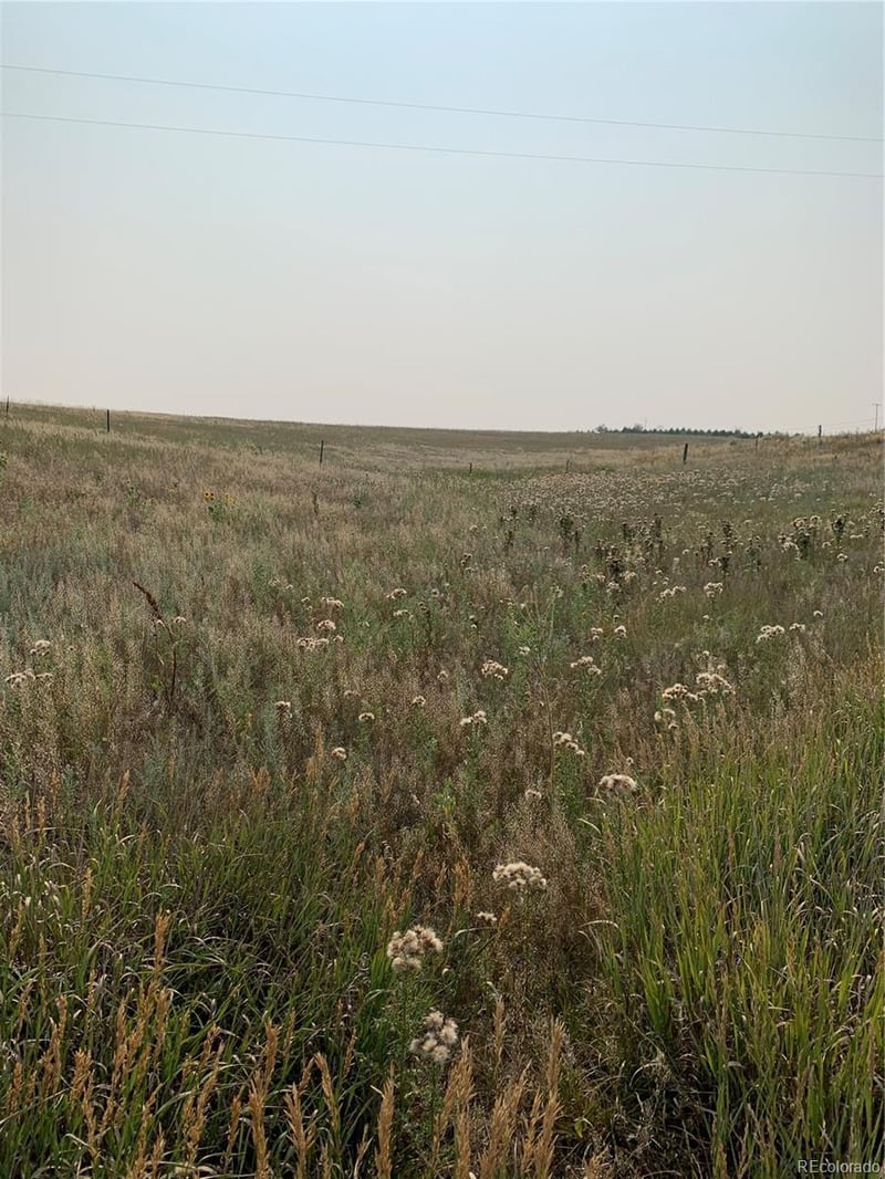 39115 County Road 166 Lot 4, Agate, CO 80101