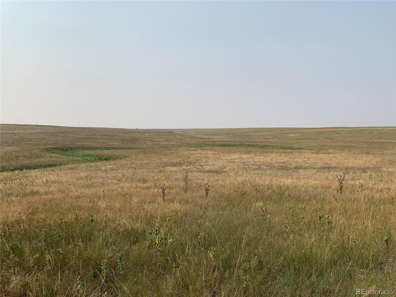 39115 County Road 166 Lot 4, Agate, CO 80101