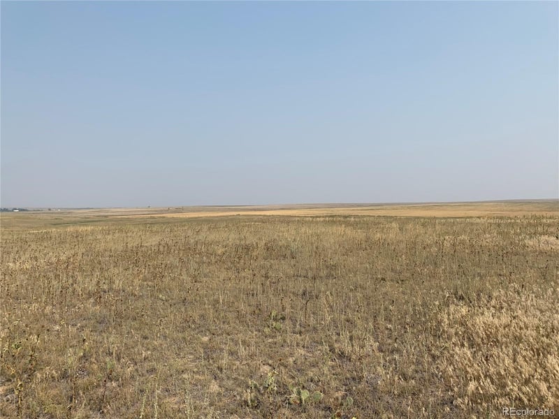 39115 County Road 166 Lot 4, Agate, CO 80101
