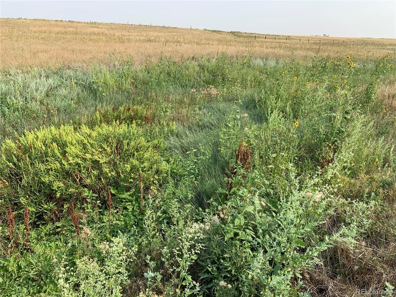 39115 County Road 166 Lot 4, Agate, CO 80101