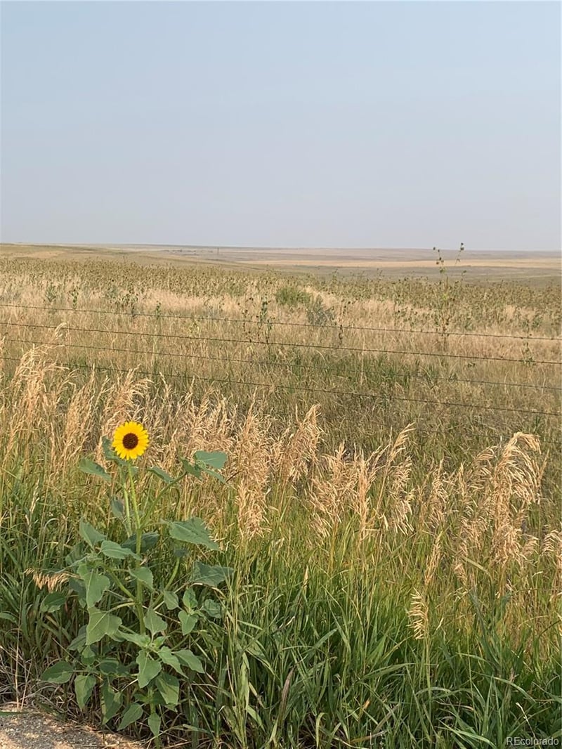 39115 County Road 166 Lot 4, Agate, CO 80101