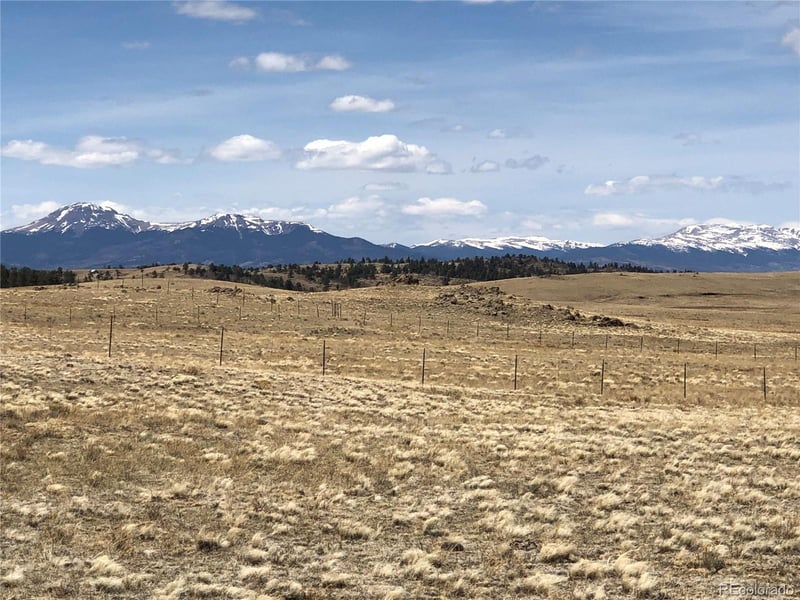 Lenape Trl, Hartsel, CO 80449