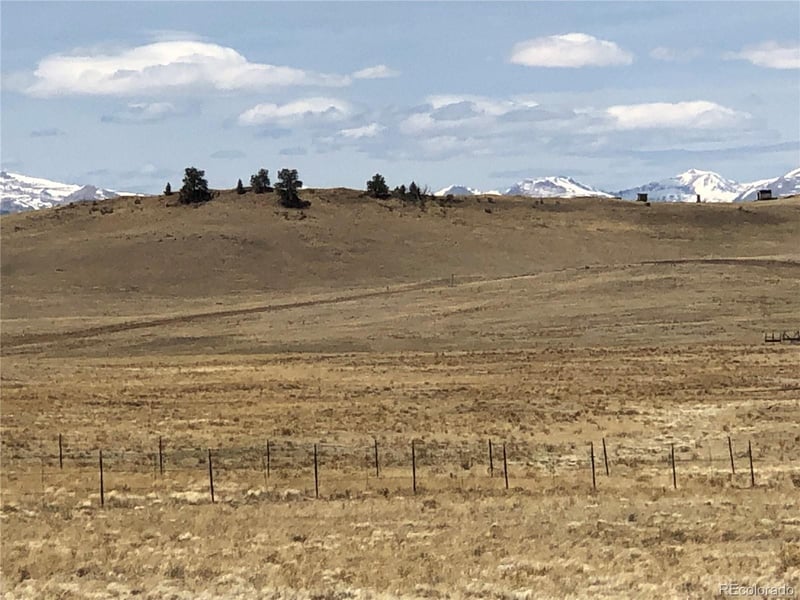 Lenape Trl, Hartsel, CO 80449