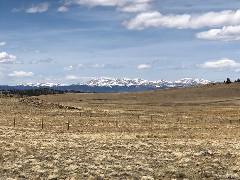 Lenape Trl, Hartsel, CO 80449