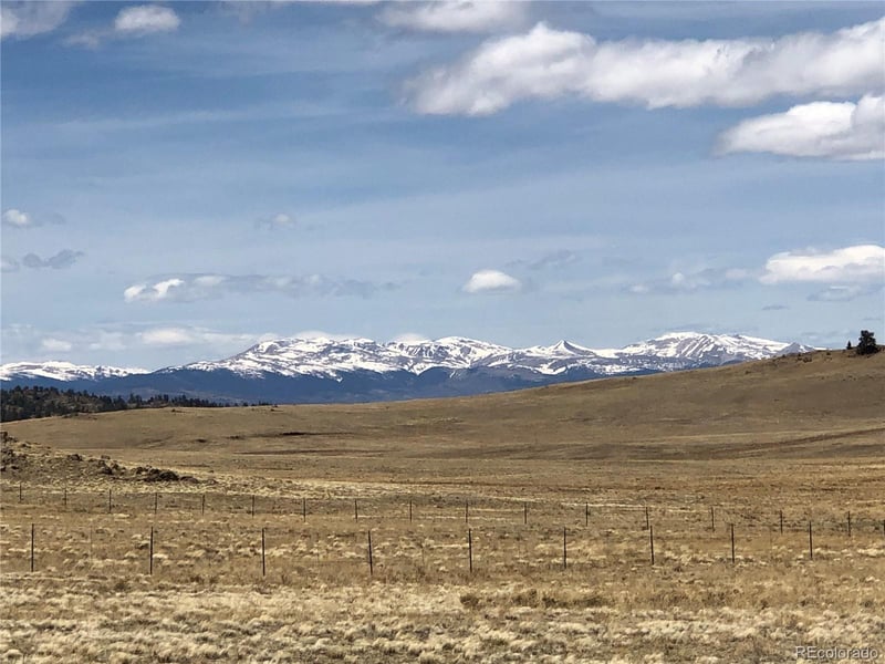 Lenape Trl, Hartsel, CO 80449