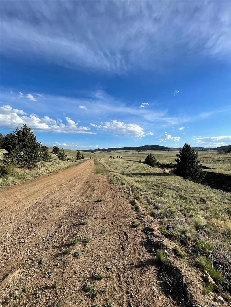 691 Cathy Dr, Hartsel, CO 80449