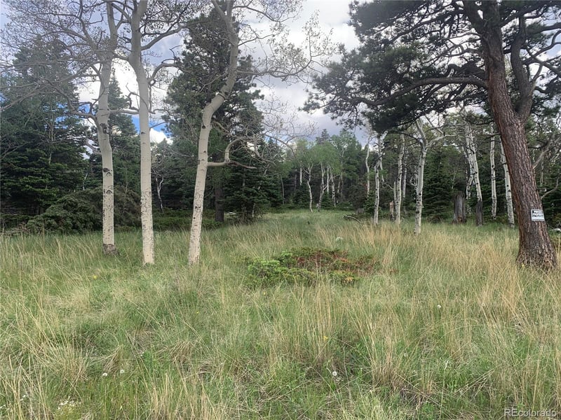 2941 Forbes Park Rd Lot 2941, Fort Garland, CO 81133
