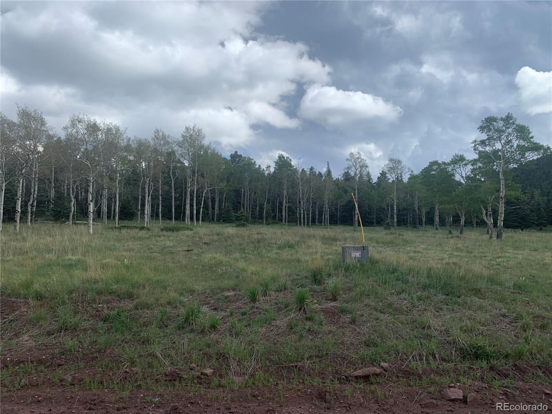 2941 Forbes Park Rd Lot 2941, Fort Garland, CO 81133