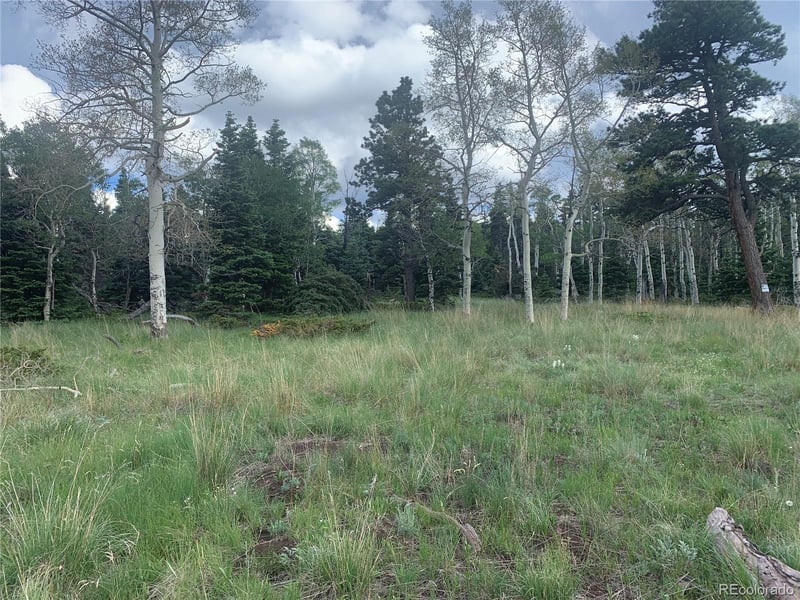 2941 Forbes Park Rd Lot 2941, Fort Garland, CO 81133