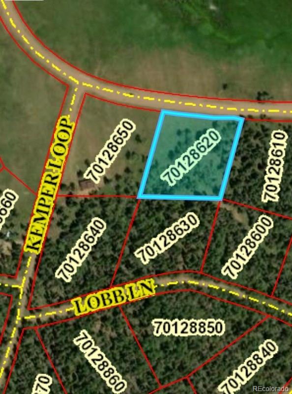2941 Forbes Park Rd Lot 2941, Fort Garland, CO 81133
