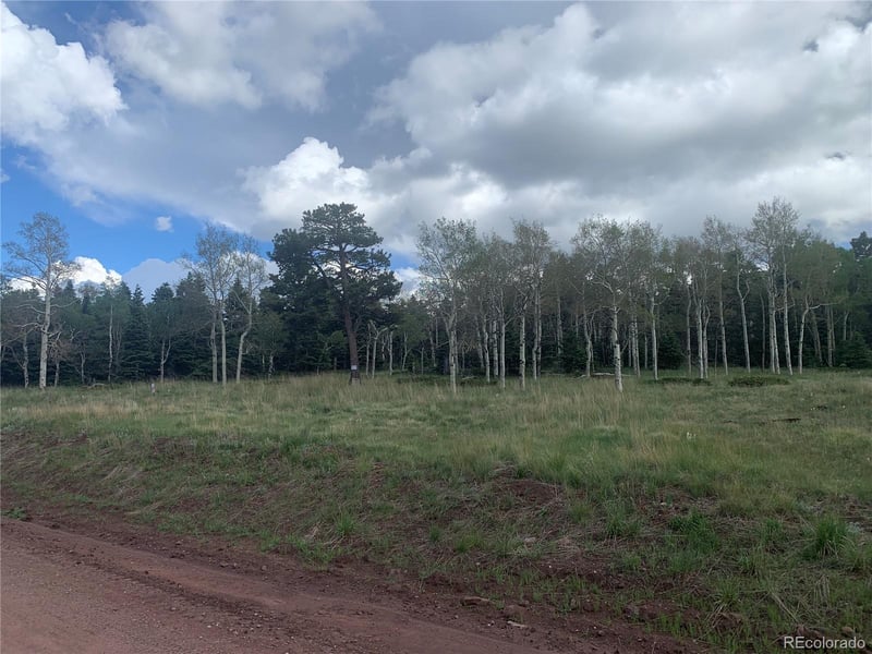 2941 Forbes Park Rd Lot 2941, Fort Garland, CO 81133