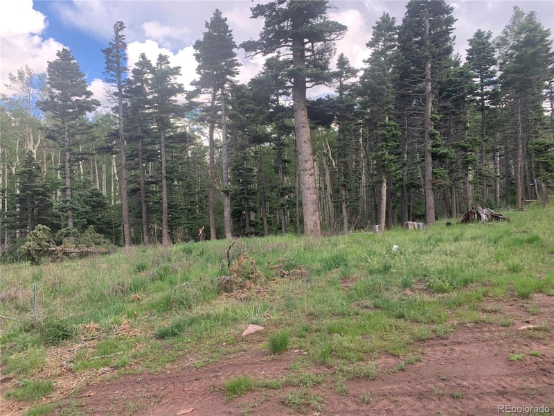 2956 Kemper Loop, Fort Garland, CO 81133