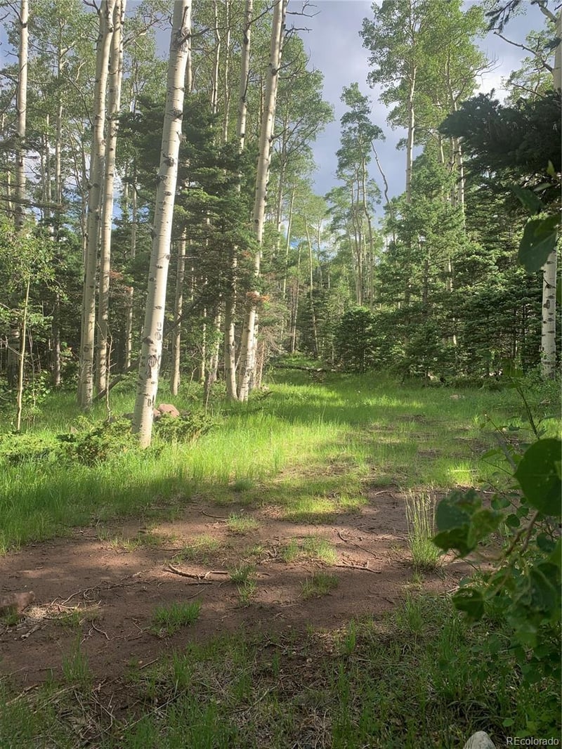 2956 Kemper Loop, Fort Garland, CO 81133