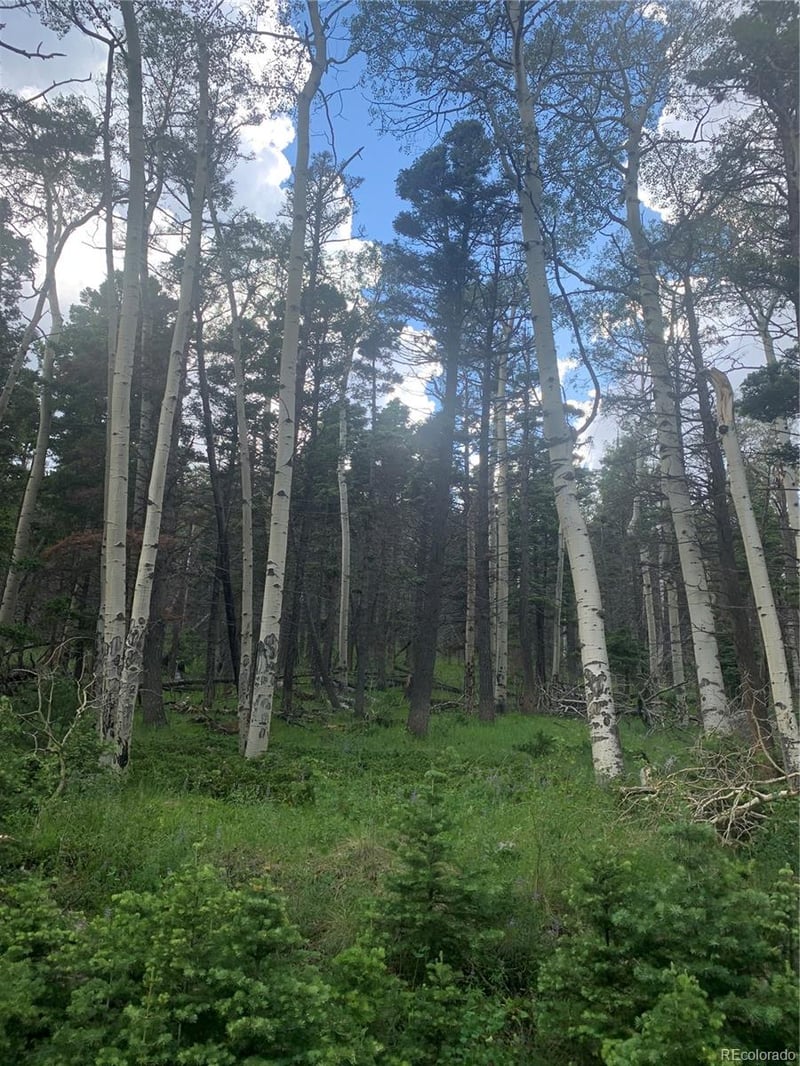 2956 Kemper Loop Lot 2956, Fort Garland, CO 81133