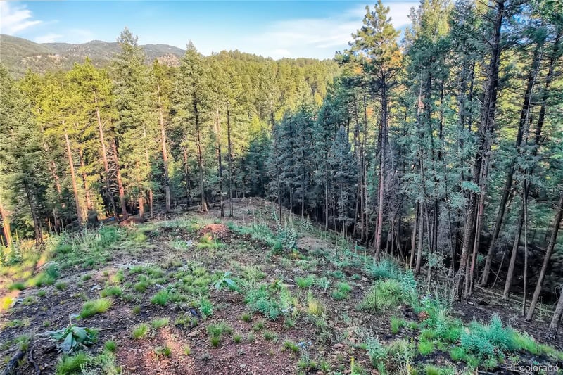 5289 S Algonquin Rd, Indian Hills, CO 80454
