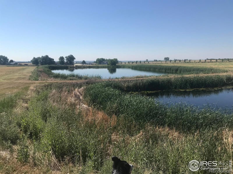 0 County Road 32, Longmont, CO 80504