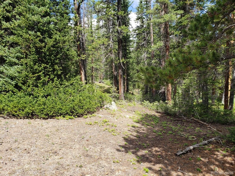 586 El Lobo Ln, Fairplay, CO 80440