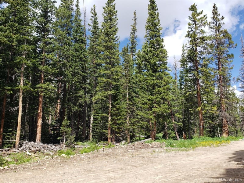 586 El Lobo Ln, Fairplay, CO 80440