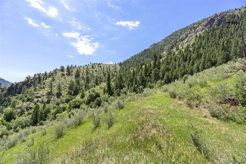 21904 Shady Ln, Idledale, CO 80453