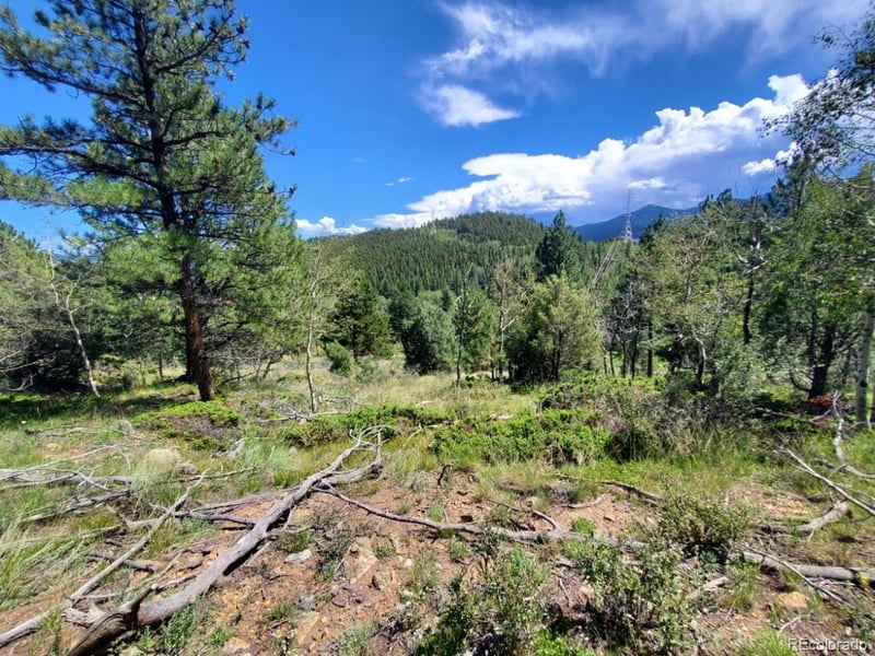S Spring Gulch Rd, Idaho Springs, CO 80444