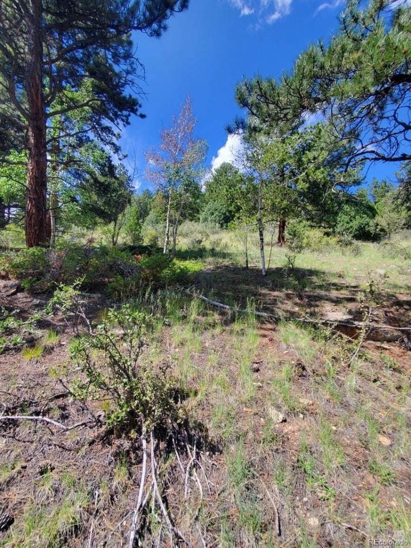 S Spring Gulch Rd, Idaho Springs, CO 80444