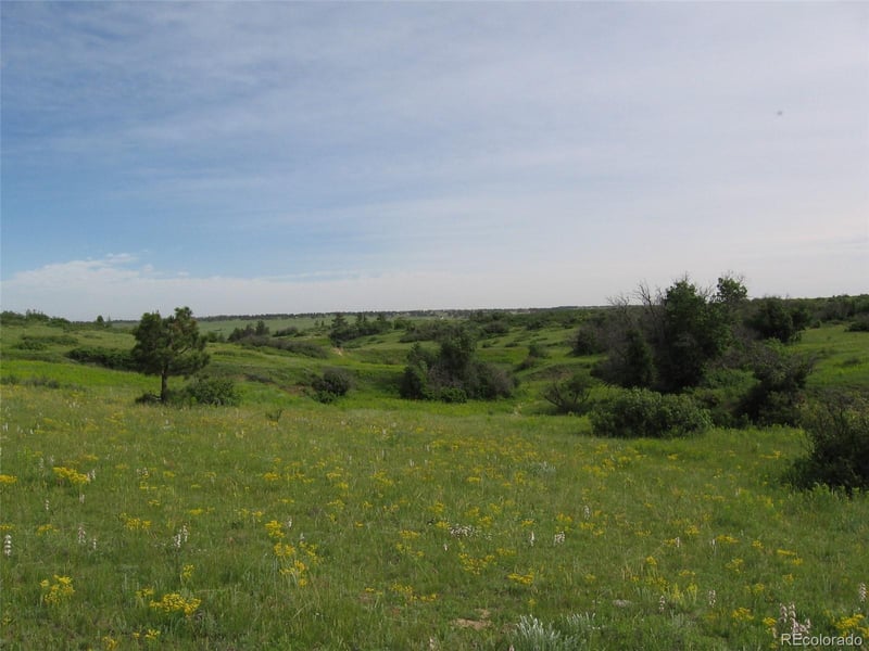 8755 Lost Lake Dr Lot 5, Franktown, CO 80116