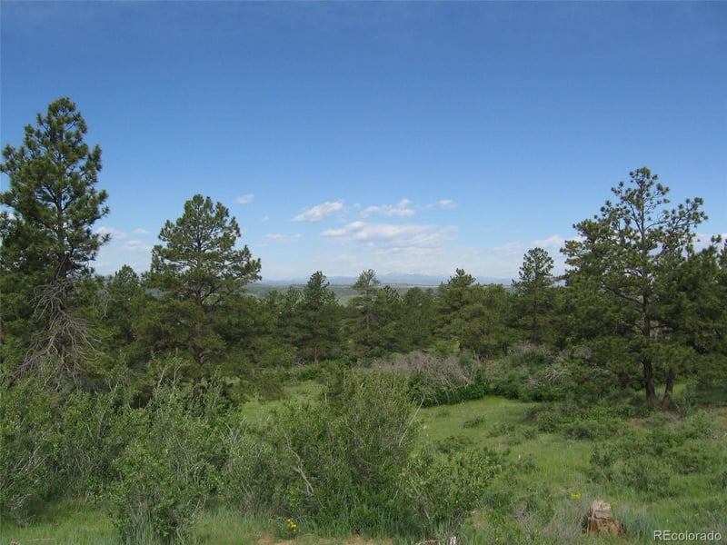 8755 Lost Lake Dr Lot 5, Franktown, CO 80116