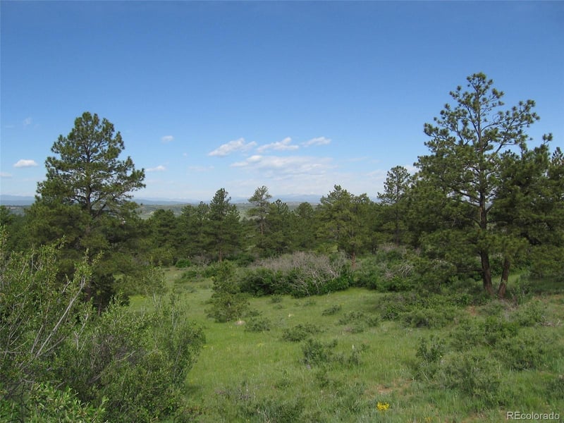 8755 Lost Lake Dr Lot 5, Franktown, CO 80116