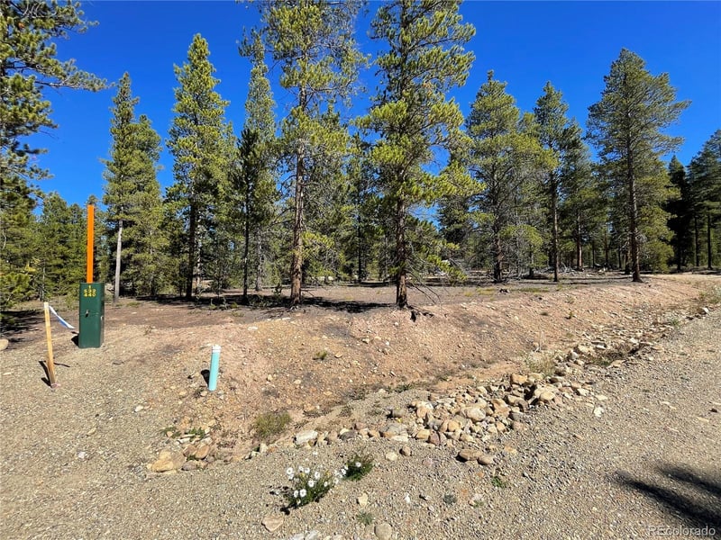 100 Virginia Ave, Leadville, CO 80461