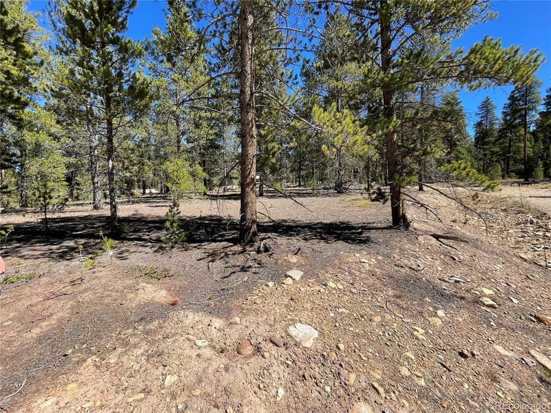 100 Virginia Ave, Leadville, CO 80461