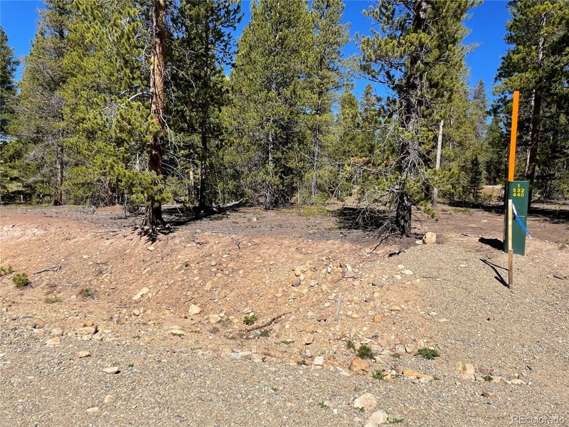 200 Virginia Ave, Leadville, CO 80461